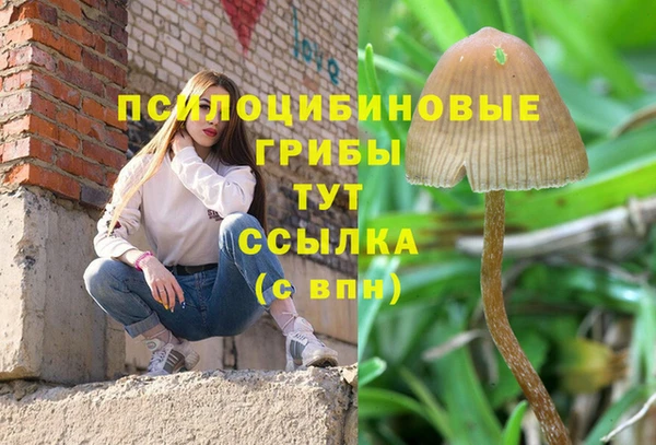 марки lsd Богородицк