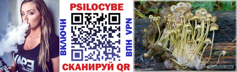 купить сайты Медногорск Псилоцибиновые грибы Cubensis